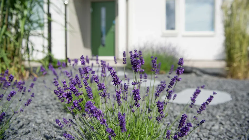 Plattlaggning naturstensplattor villa Ekero Stenhamra